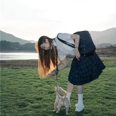 狼群之中 在线观看